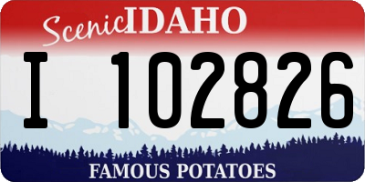 ID license plate I102826