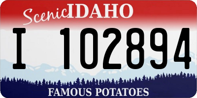 ID license plate I102894
