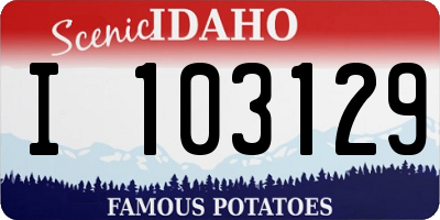 ID license plate I103129