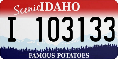 ID license plate I103133