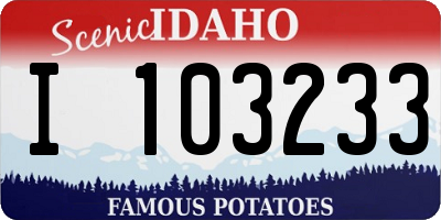 ID license plate I103233