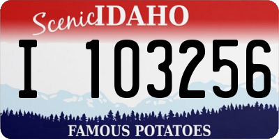 ID license plate I103256
