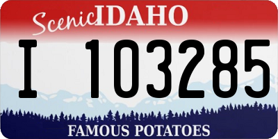 ID license plate I103285