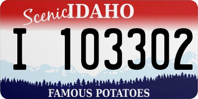 ID license plate I103302
