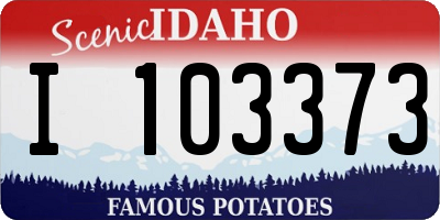 ID license plate I103373