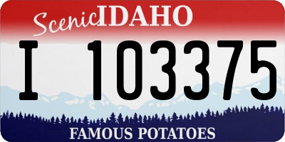 ID license plate I103375