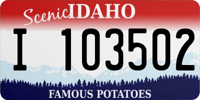 ID license plate I103502