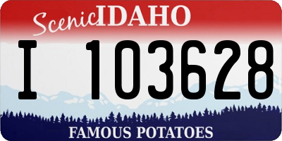 ID license plate I103628