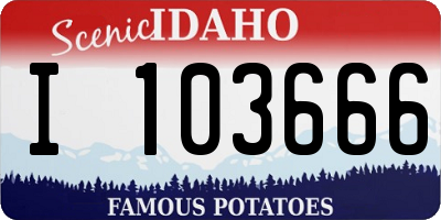 ID license plate I103666