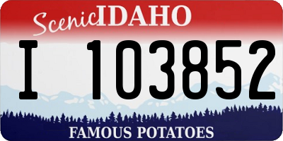 ID license plate I103852