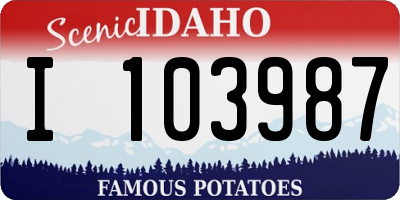ID license plate I103987