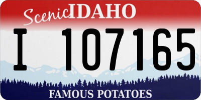ID license plate I107165