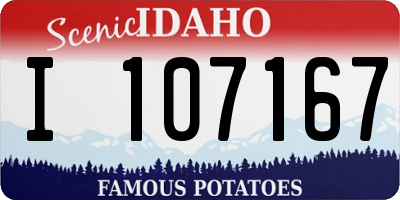 ID license plate I107167