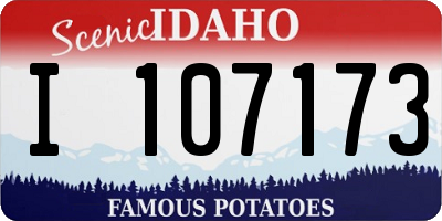 ID license plate I107173