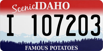 ID license plate I107203