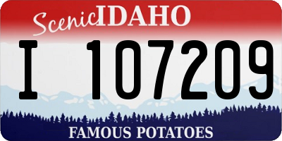 ID license plate I107209