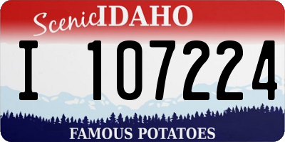 ID license plate I107224