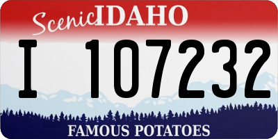 ID license plate I107232