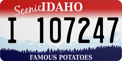 ID license plate I107247