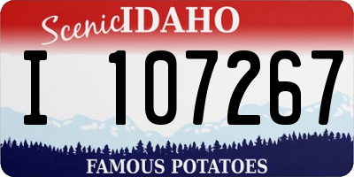 ID license plate I107267
