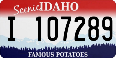 ID license plate I107289