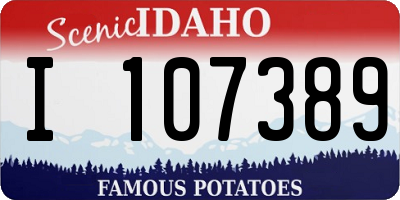 ID license plate I107389