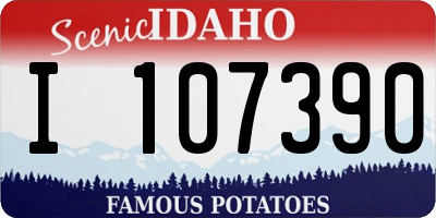 ID license plate I107390