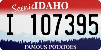 ID license plate I107395