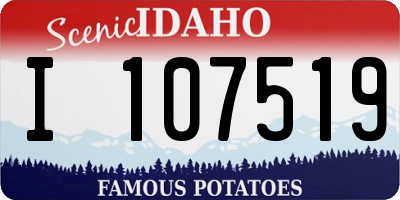 ID license plate I107519