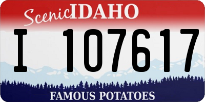 ID license plate I107617