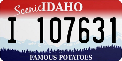 ID license plate I107631