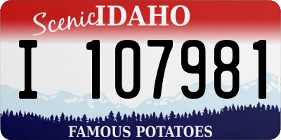 ID license plate I107981