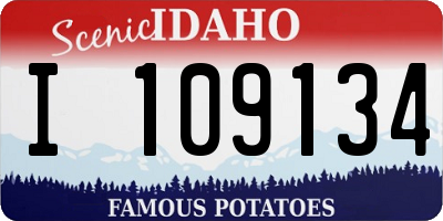 ID license plate I109134