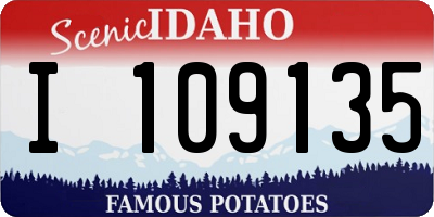 ID license plate I109135