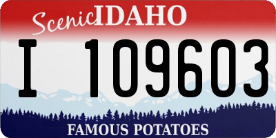 ID license plate I109603