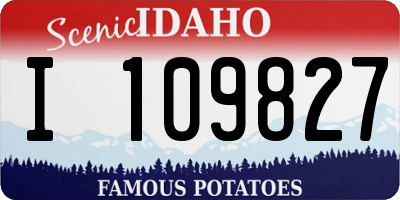 ID license plate I109827
