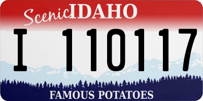 ID license plate I110117