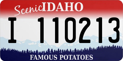 ID license plate I110213