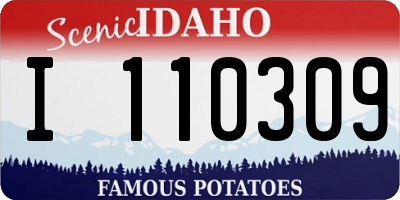 ID license plate I110309