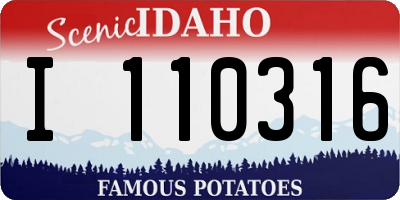 ID license plate I110316