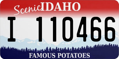 ID license plate I110466