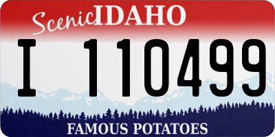 ID license plate I110499