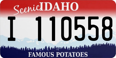 ID license plate I110558
