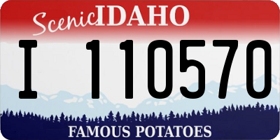 ID license plate I110570