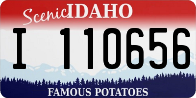 ID license plate I110656