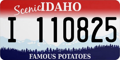 ID license plate I110825