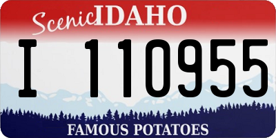 ID license plate I110955