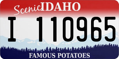 ID license plate I110965