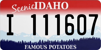 ID license plate I111607