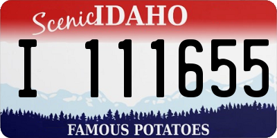 ID license plate I111655